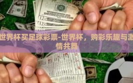 世界杯买足球彩票-世界杯，购彩乐趣与激情共舞