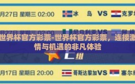 世界杯官方彩票-世界杯官方彩票，连接激情与机遇的非凡体验