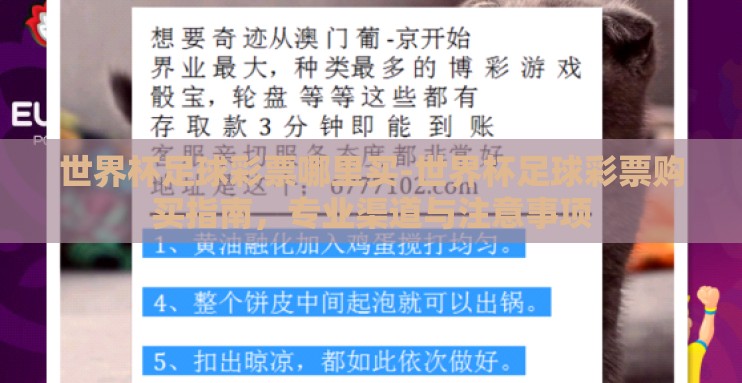 世界杯足球彩票哪里买-世界杯足球彩票购买指南,专业渠道与注意事项 世界杯足球彩票哪里买-世界杯足球彩票购买指南,专业渠道与注意事项