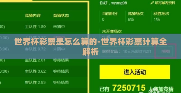 世界杯彩票是怎么算的-世界杯彩票计算全解析