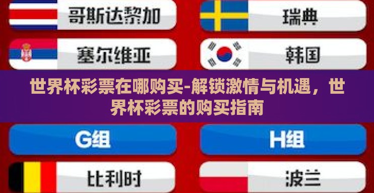 世界杯彩票在哪购买-解锁激情与机遇,世界杯彩票的购买指南 世界杯彩票在哪购买-解锁激情与机遇,世界杯彩票的购买指南