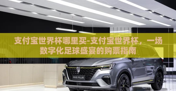 支付宝世界杯哪里买-支付宝世界杯，一场数字化足球盛宴的购票指南