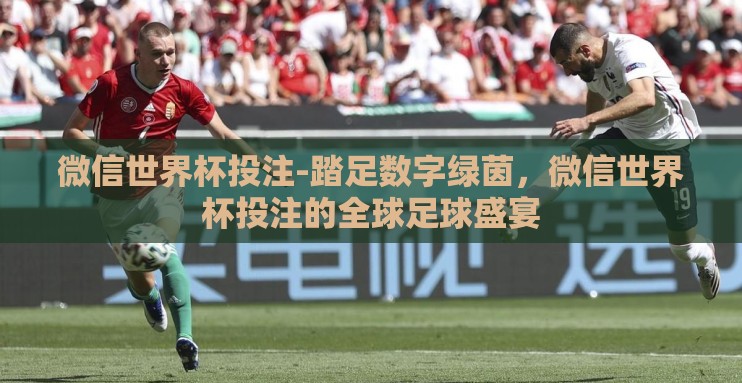 微信世界杯投注-踏足数字绿茵,微信世界杯投注的全球足球盛宴 微信世界杯投注-踏足数字绿茵,微信世界杯投注的全球足球盛宴