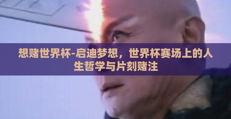 想赌世界杯-启迪梦想,世界杯赛场上的人生哲学与片刻赌注 想赌世界杯-启迪梦想,世界杯赛场上的人生哲学与片刻赌注