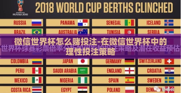 微信世界杯怎么赌投注-在微信世界杯中的理性投注策略
