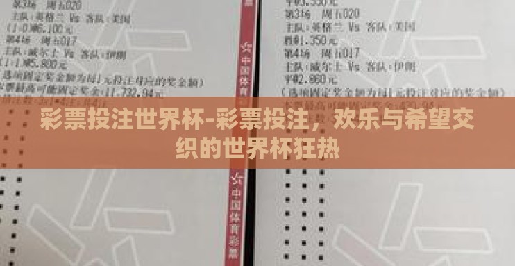彩票投注世界杯-彩票投注,欢乐与希望交织的世界杯狂热 彩票投注世界杯-彩票投注,欢乐与希望交织的世界杯狂热