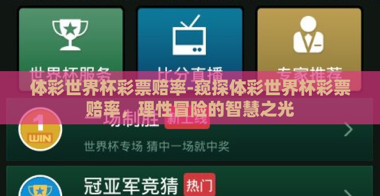 体彩世界杯彩票赔率-窥探体彩世界杯彩票赔率，理性冒险的智慧之光