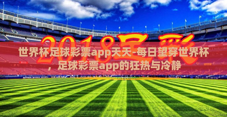 世界杯足球彩票app天天-每日望穿世界杯，足球彩票app的狂热与冷静