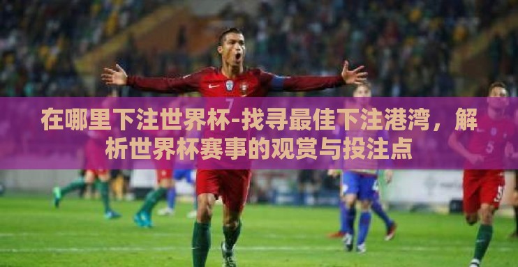 在哪里下注世界杯-找寻最佳下注港湾，解析世界杯赛事的观赏与投注点