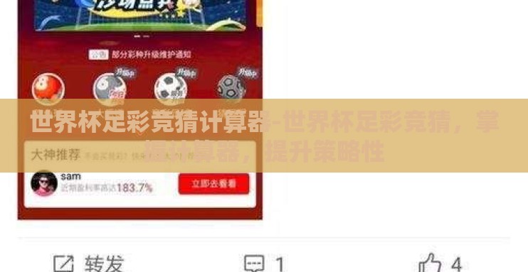 世界杯足彩竞猜计算器-世界杯足彩竞猜，掌握计算器，提升策略性