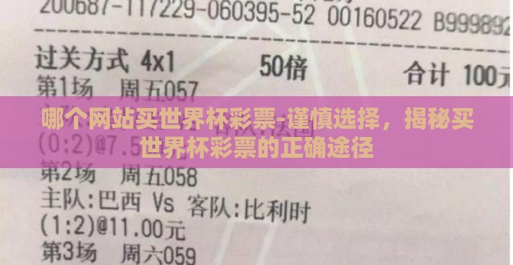 哪个网站买世界杯彩票-谨慎选择，揭秘买世界杯彩票的正确途径