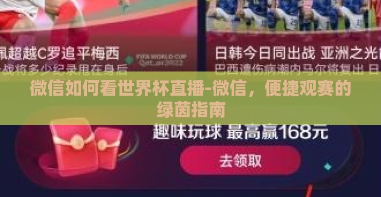 微信如何看世界杯直播-微信，便捷观赛的绿茵指南