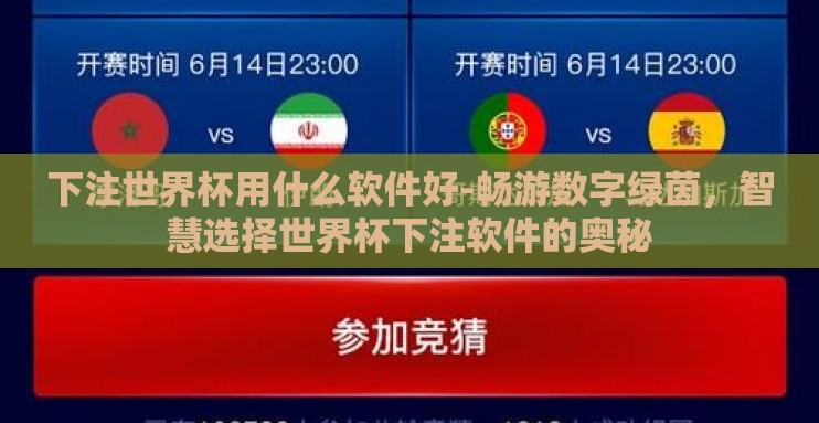 下注世界杯用什么软件好-畅游数字绿茵,智慧选择世界杯下注软件的奥秘 下注世界杯用什么软件好-畅游数字绿茵,智慧选择世界杯下注软件的奥秘