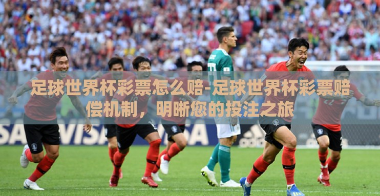 足球世界杯彩票怎么赔-足球世界杯彩票赔偿机制,明晰您的投注之旅 足球世界杯彩票怎么赔-足球世界杯彩票赔偿机制,明晰您的投注之旅