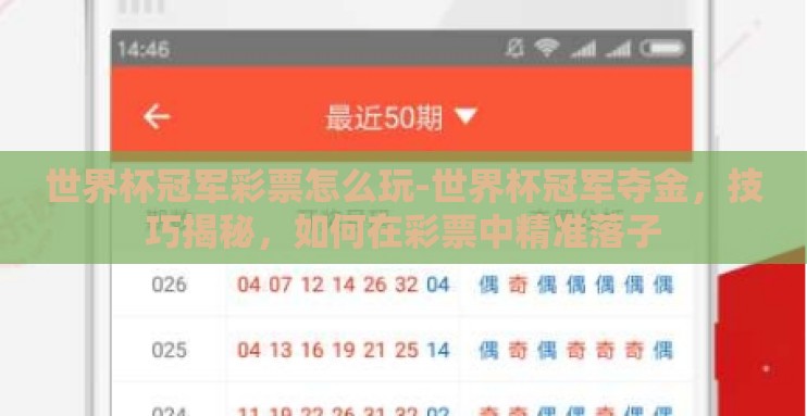 世界杯冠军彩票怎么玩-世界杯冠军夺金，技巧揭秘，如何在彩票中精准落子