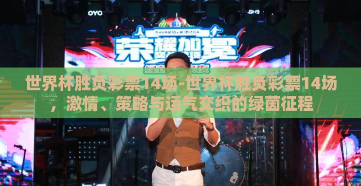 世界杯胜负彩票14场-世界杯胜负彩票14场，激情、策略与运气交织的绿茵征程