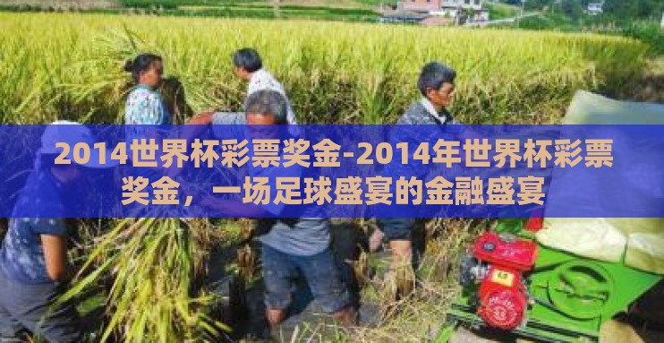 2014世界杯彩票奖金-2014年世界杯彩票奖金,一场足球盛宴的金融盛宴 2014世界杯彩票奖金-2014年世界杯彩票奖金,一场足球盛宴的金融盛宴