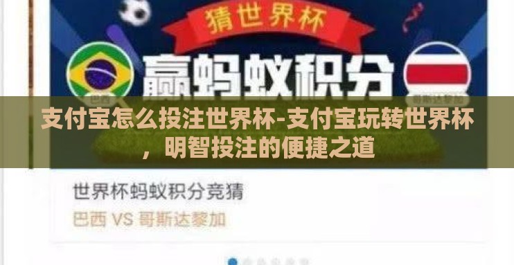 支付宝怎么投注世界杯-支付宝玩转世界杯，明智投注的便捷之道