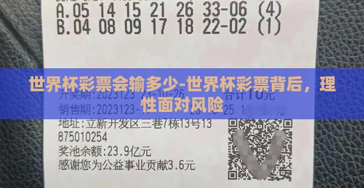 世界杯彩票会输多少-世界杯彩票背后，理性面对风险