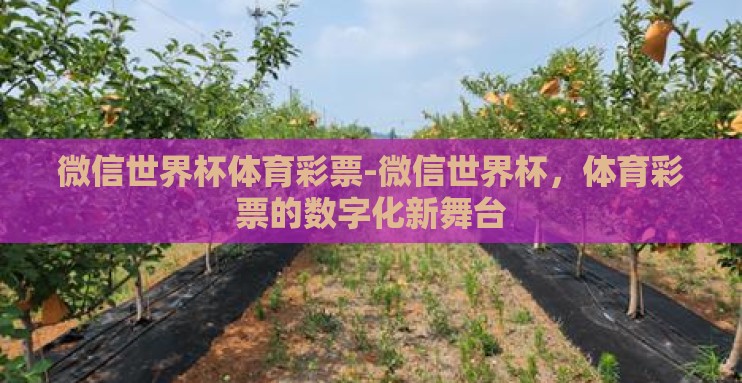微信世界杯体育彩票-微信世界杯，体育彩票的数字化新舞台