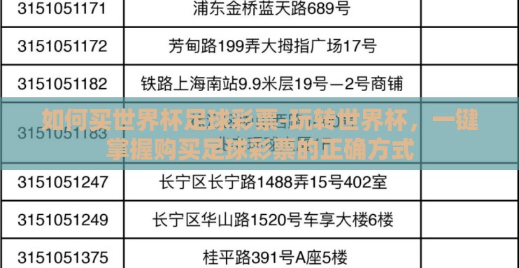 如何买世界杯足球彩票-玩转世界杯，一键掌握购买足球彩票的正确方式