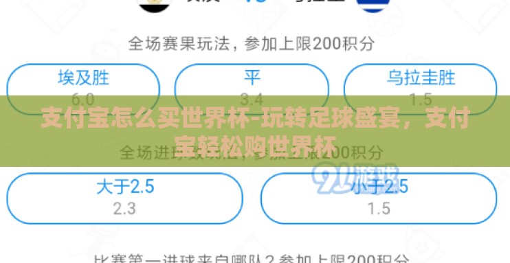 支付宝怎么买世界杯-玩转足球盛宴,支付宝轻松购世界杯 支付宝怎么买世界杯-玩转足球盛宴,支付宝轻松购世界杯