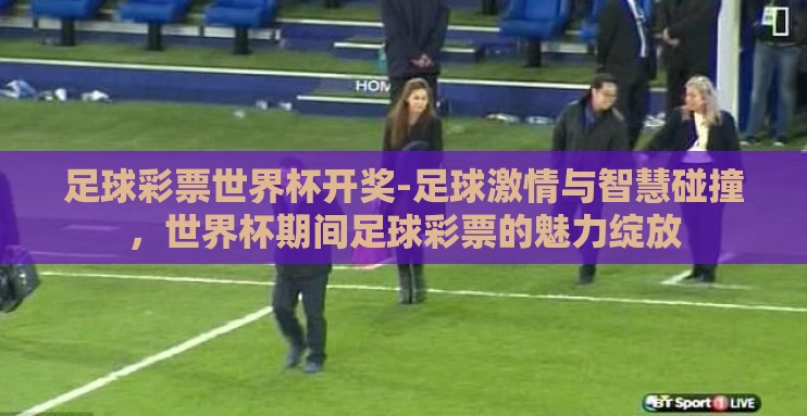 足球彩票世界杯开奖-足球激情与智慧碰撞,世界杯期间足球彩票的魅力绽放 足球彩票世界杯开奖-足球激情与智慧碰撞,世界杯期间足球彩票的魅力绽放