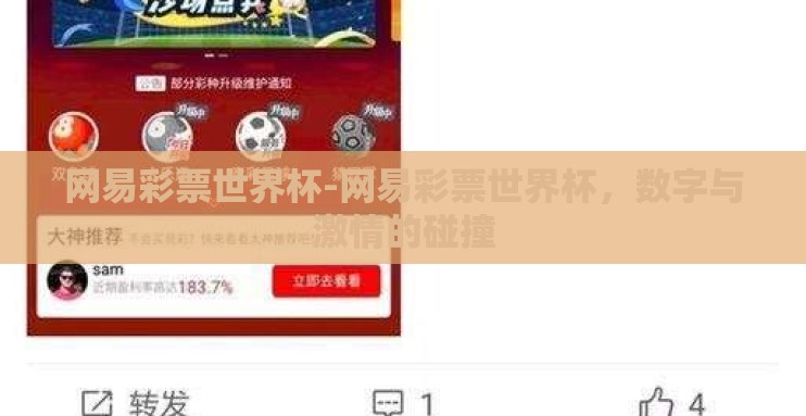 网易彩票世界杯-网易彩票世界杯，数字与激情的碰撞