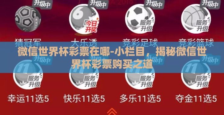 微信世界杯彩票在哪-小栏目，揭秘微信世界杯彩票购买之道
