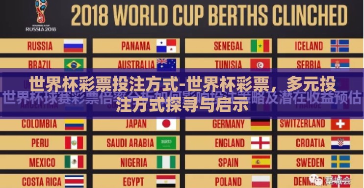 世界杯彩票投注方式-世界杯彩票，多元投注方式探寻与启示