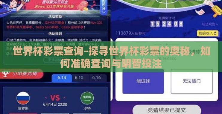 世界杯彩票查询-探寻世界杯彩票的奥秘，如何准确查询与明智投注