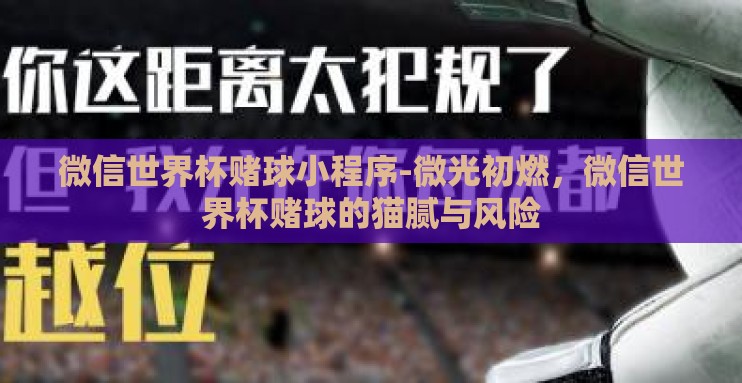 微信世界杯赌球小程序-微光初燃,微信世界杯赌球的猫腻与风险 微信世界杯赌球小程序-微光初燃,微信世界杯赌球的猫腻与风险