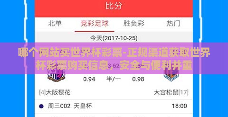 哪个网站买世界杯彩票-正规渠道获取世界杯彩票购买信息，安全与便利并重