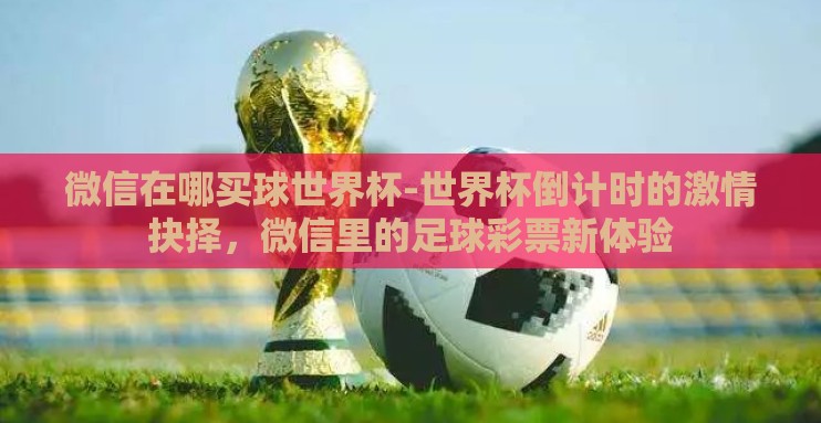 微信在哪买球世界杯-世界杯倒计时的激情抉择，微信里的足球彩票新体验