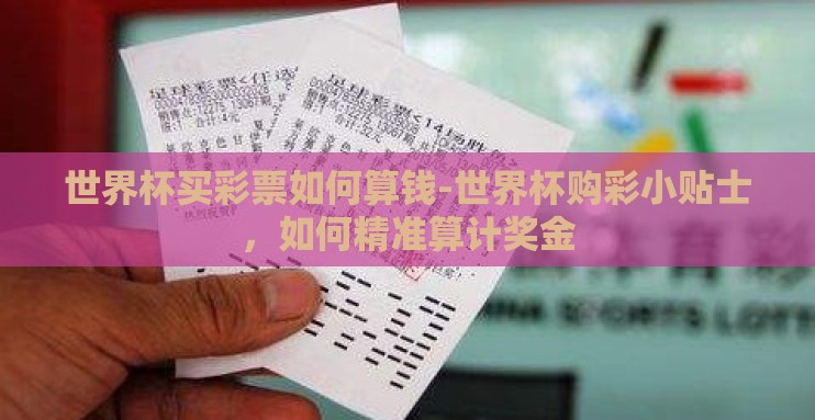 世界杯买彩票如何算钱-世界杯购彩小贴士,如何精准算计奖金 世界杯买彩票如何算钱-世界杯购彩小贴士,如何精准算计奖金