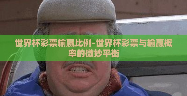 世界杯彩票输赢比例-世界杯彩票与输赢概率的微妙平衡