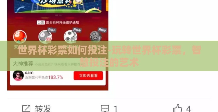 世界杯彩票如何投注-玩转世界杯彩票，智慧投注的艺术