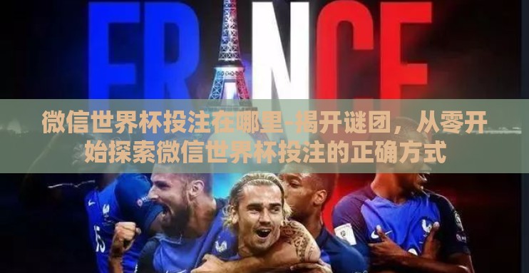 微信世界杯投注在哪里-揭开谜团，从零开始探索微信世界杯投注的正确方式
