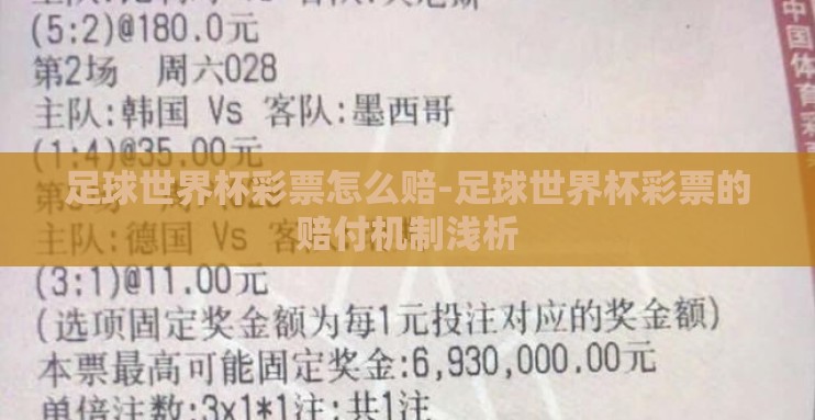 足球世界杯彩票怎么赔-足球世界杯彩票的赔付机制浅析