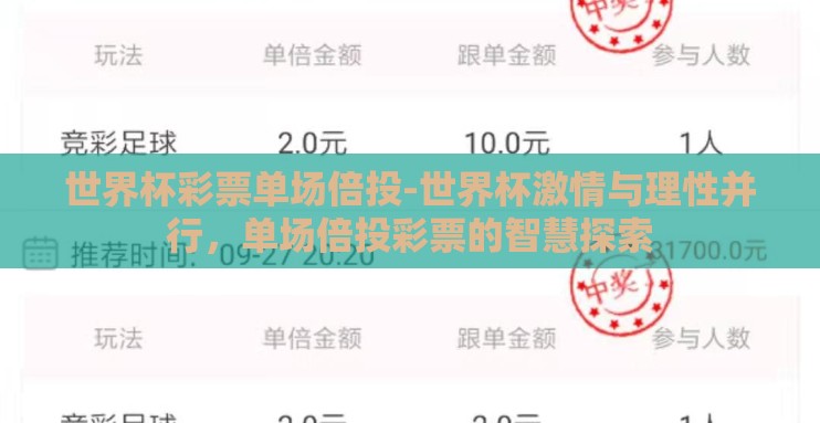 世界杯彩票单场倍投-世界杯激情与理性并行，单场倍投彩票的智慧探索
