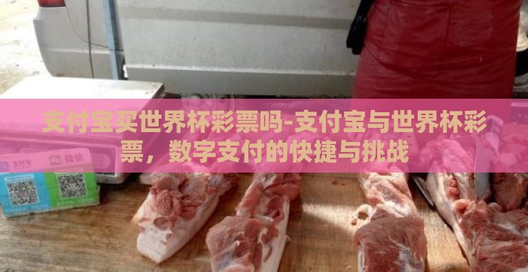 支付宝买世界杯彩票吗-支付宝与世界杯彩票，数字支付的快捷与挑战