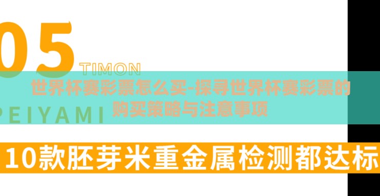 世界杯赛彩票怎么买-探寻世界杯赛彩票的购买策略与注意事项