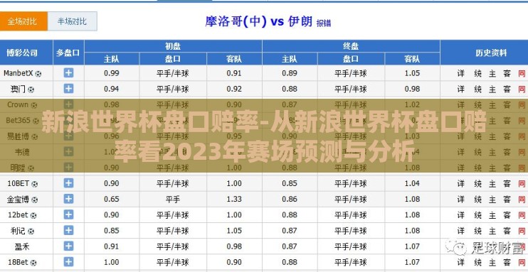 新浪世界杯盘口赔率-从新浪世界杯盘口赔率看2023年赛场预测与分析