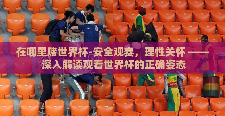 在哪里赌世界杯-安全观赛，理性关怀 —— 深入解读观看世界杯的正确姿态