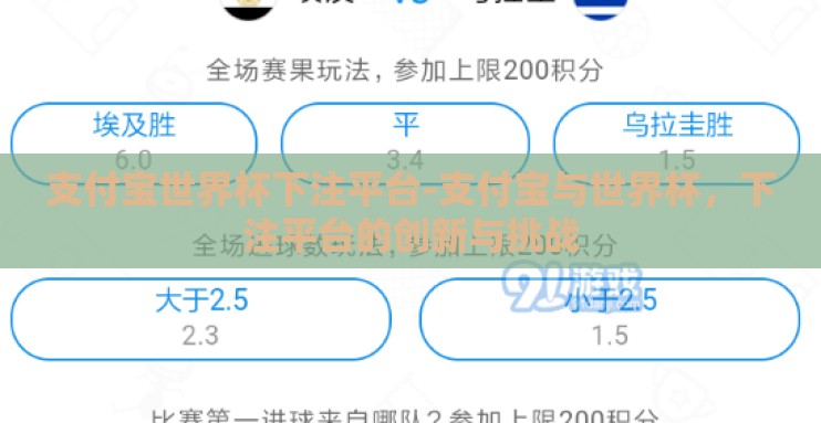 支付宝世界杯下注平台-支付宝与世界杯，下注平台的创新与挑战