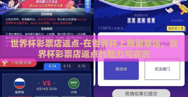 世界杯彩票店返点-在世界杯上舞动幸运，世界杯彩票店返点的魅力与实况
