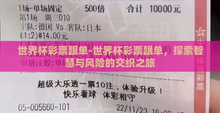 世界杯彩票跟单-世界杯彩票跟单，探索智慧与风险的交织之旅