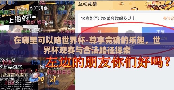 在哪里可以赌世界杯-尊享竞猜的乐趣，世界杯观赛与合法路径探索