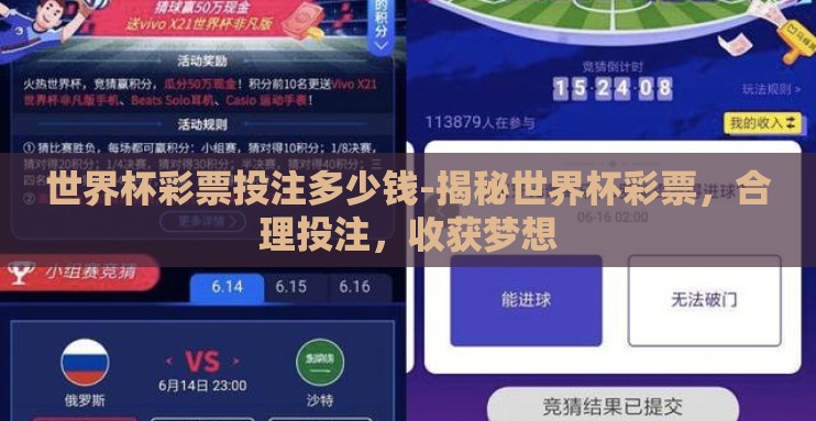 世界杯彩票投注多少钱-揭秘世界杯彩票，合理投注，收获梦想