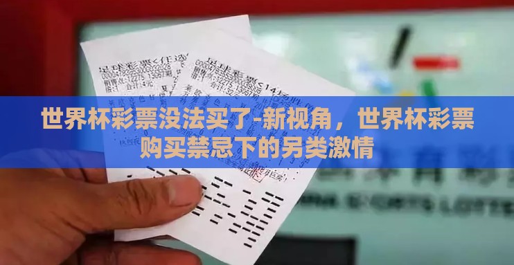 世界杯彩票没法买了-新视角，世界杯彩票购买禁忌下的另类激情